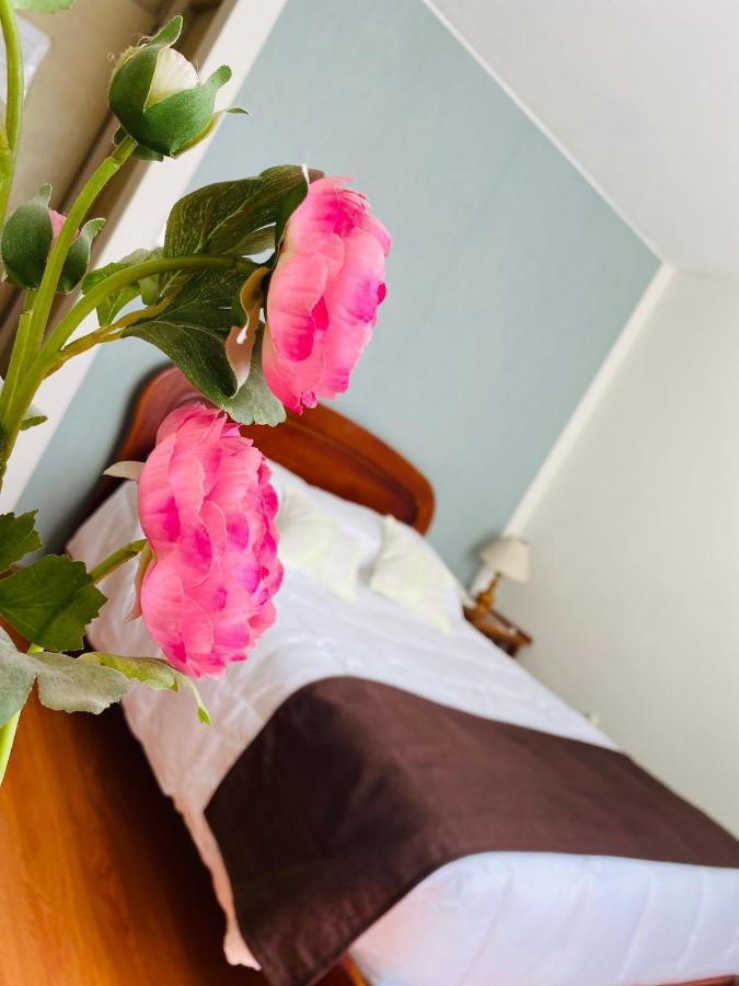 Hotel Helena De Santa Maria Arequipa Esterno foto